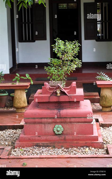 kerala tulsi video download|Indian tulsi Stock Videos & Footage .
